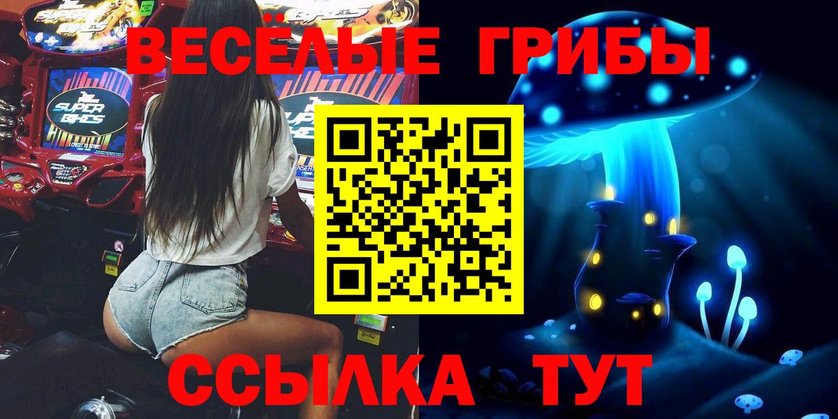 Борзя  Галлюциногенные грибы GOLDEN TEACHER  Галлюциногенные грибы Psilocybe  Вход с VPN 