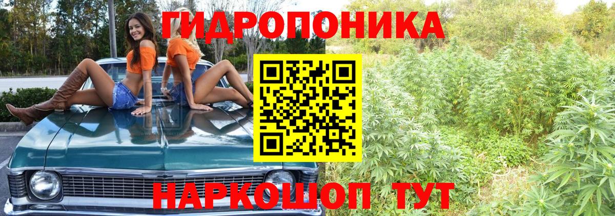 Каннабис марихуана  Вход с VPN  Бошки марихуана планчик  Канабис гибрид  Борзя 